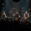 Broilers