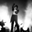 The Hives