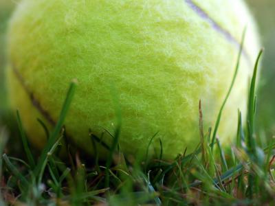 Tennis Swiss Indoors Tickets