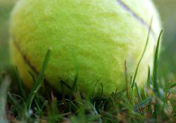 Tennis Swiss Indoors Tickets