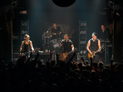 Broilers