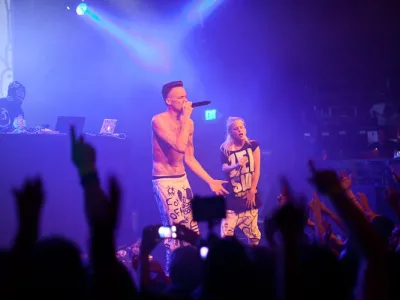 Die Antwoord