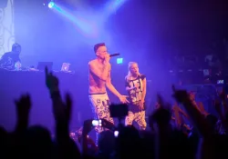 Die Antwoord
