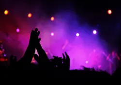 Die Hamburger Goldkehlchen