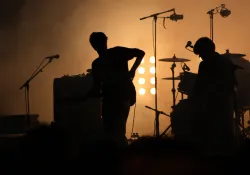 Die Hamburger Goldkehlchen